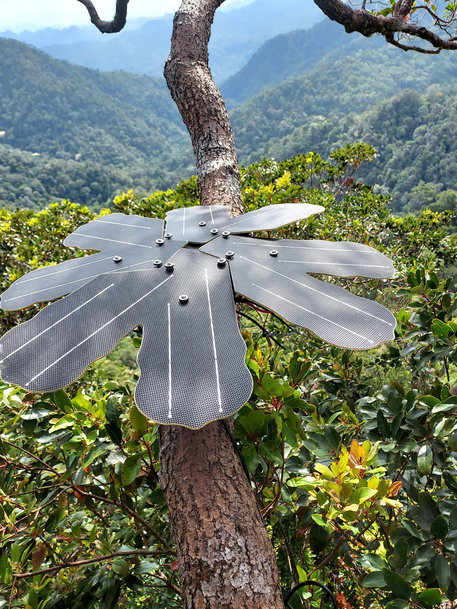 Mit moderner Technologie den Regenwald schützen: Infineon Technologies und Rainforest Connection setzen Sensortechnik zum Schutz besonders vulnerabler Regionen ein